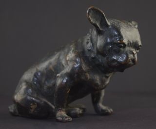 Rare Hand Cast Bronze French Bulldog Figure Early 1900s Antique