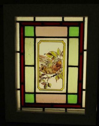 Victorian English Leaded Stained Glass Window Hand Painted Bird 12.  25 " X 13.  75 "