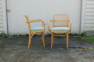 Josef Hoffmann Prague Chairs Set 2 Bauhaus Mid Century Modern Vintage Bentwood 2