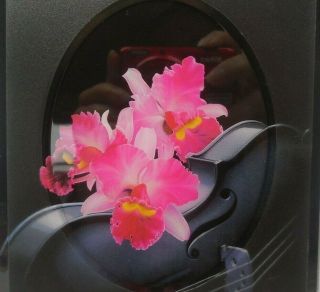 Personal Phone Address Book Tabbed Organizer Pink Orchids Lucite Cover Vintage