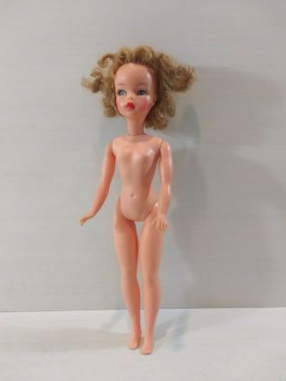 Vintage 1960s Ideal Toy Corp 12 Inch Tammy Doll Bs - 12 - 3