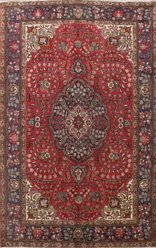 Vintage Hand - Knotted Floral Traditional Area Rug Living Room Oriental Wool 7x10
