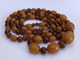 Antique Chinese Butterscotch Baltic Egg Yolk Amber Bead Graduated Necklace 39 "