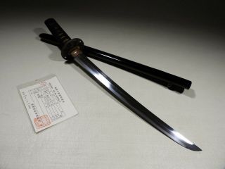 210 Japan Antique Classic Orthodox Sword Wakizashi Katana Mumei With Koshirae
