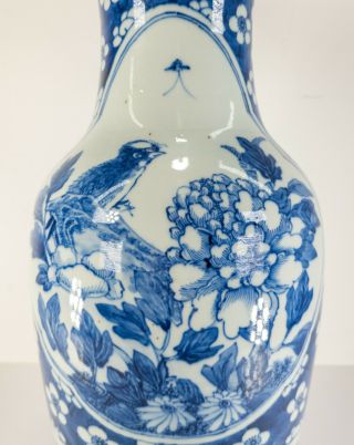 Large Antique Chinese 17th/18th Century Underglaze Blue and White Vase Bird 2