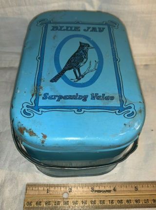 Antique Blue Jay Tin Litho Lunch Box Pail Style Tobacco Can Country Store Bird