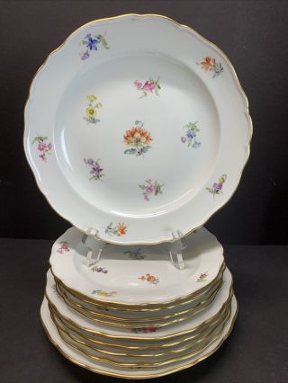 Vtg Antique Meissen 19th Century Plates Hand Painted Flowers Pattern Set Of 10