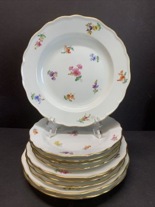 VTG Antique Meissen 19th Century Plates Hand Painted Flowers Pattern Set Of 10 2