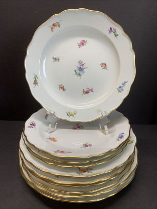 VTG Antique Meissen 19th Century Plates Hand Painted Flowers Pattern Set Of 10 4