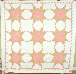 Well Quilted Vintage 20 