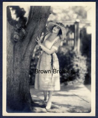 Vintage 1920s Hollywood Silent Film Actress Virginia Valli Dbw Photo - Bb