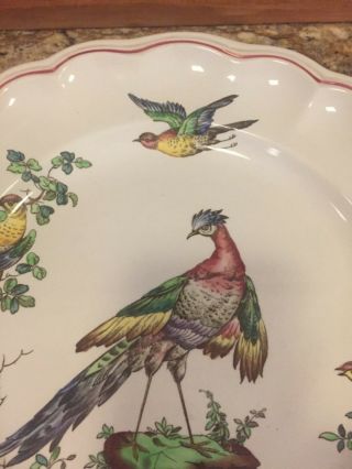 Absolutely Gorgeous Vintage Copeland Spode Chelsea Bird Dinner Plate