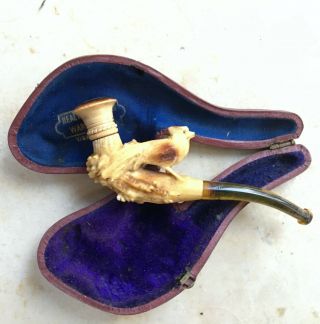 Antique Small Meerschaum Pipe With Case.  Carved Bird