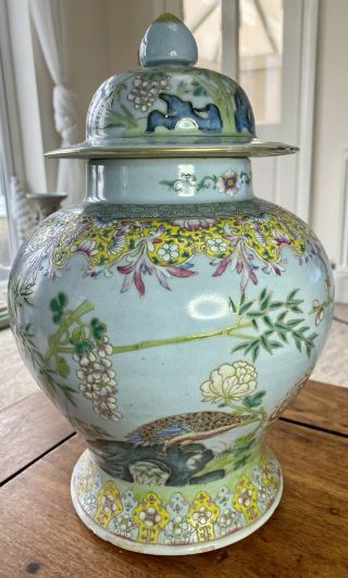 A Large 19th Century Chinese Sky Blue Glazed Famille Rose Jar And Cover