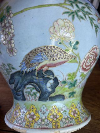 A large 19th century Chinese sky blue glazed famille rose jar and cover 5