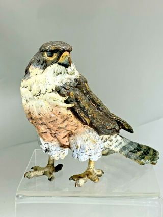 Antique Geschutz Bergman Vienna Bronze Cold - Painted Figural Falcon Bird Inkwell