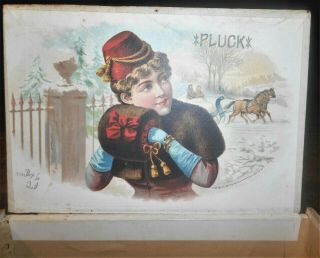 Early Advertising Pluck Brand 50 Cigars Wood Box,  March 1883,  Distr.  Of Penna.  Nr