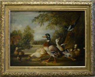 Fine Antique Early 20th Century Birds Oil On Canvas Painting Cradock
