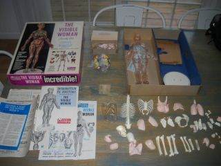 Renwal Vintage " The Visible Woman " Assembly Kit Model W/miracle Of Creation
