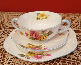 Vintage Shelley Begonia Bouillon Cup,  Saucer,  8 " Plate Trio Dainty England