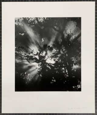 Brett Weston “sunburst,  Hawaii,  1978” Signed Vintage Silver Gelatin Print Edward