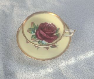 Yellow And Rose Teacup And Saucer Set.  Bone China From Paragon