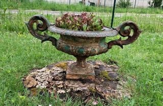 Antique French Cast Iron Urn Planter With Handles 19th Century