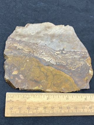 Large Cut Slab Of Unknown Stone - 182.  6 Grams - Vintage Estate Find