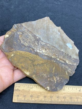 Large Cut Slab of Unknown Stone - 182.  6 Grams - Vintage Estate Find 2