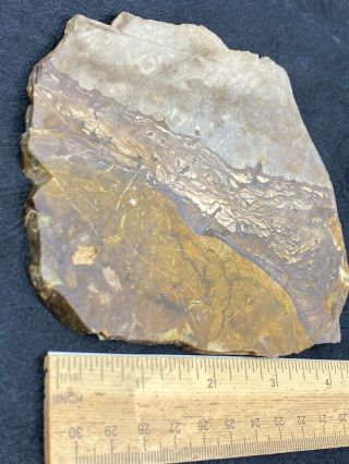 Large Cut Slab of Unknown Stone - 182.  6 Grams - Vintage Estate Find 3