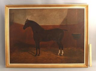Large 19thc Antique F.  C.  Clifton Equestrian Horse Folk Art Portrait Painting Nr