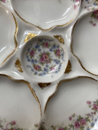 8 Antique Theodore Haviland Limoges France Pink Blue Flowers Gold Oyster Plates