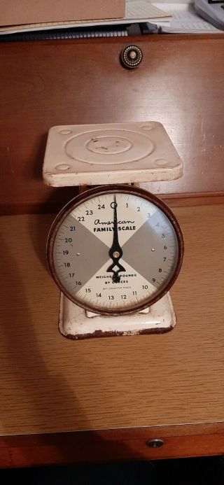 Vintage American Family Scale Weighs 25 Pounds By Ounces