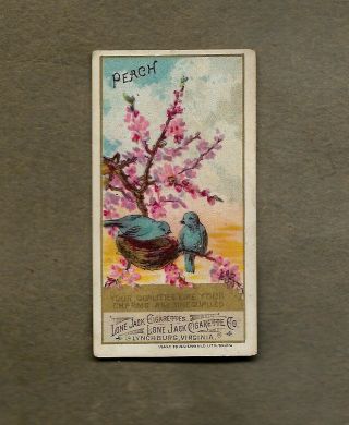1888 Lone Jack Language Of Flowers Peach Tobacco Card