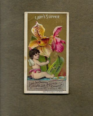 1888 Lone Jack Language Of Flowers Lady`s Slipper Tobacco Card