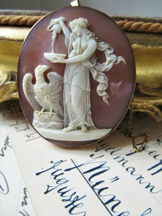 Large Antique Shell Cameo 9ct Gold Brooch Pendant Goddess Hebe & The Eagle