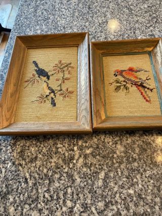 Vintage Needlepoint Bird Pictures In Wooden Frames 8”x11” & 7”x9”