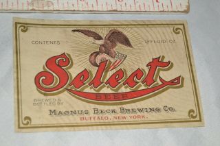 Vtg/antique Magnus Brewing Pre - Prohibition Select Beer Bottle Label Buffalo Ny