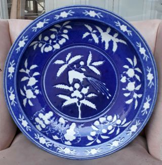Chinese Antique B/w Phoenix Porcelain Large Dish