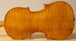 Very Old Labelled Vintage Violin " Degano Giulio " Fiddle Geige 1355