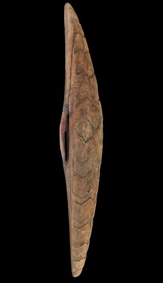 Old Aboriginal South Eastern Carved Incised Parrying Shield 50cm