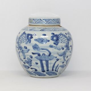 Chinese Mid - Late Qing Period Blue And White Ginger Jar Post