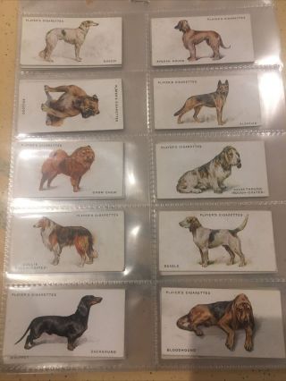 John Player Cigarettes.  ‘dogs From Paintings By Arthur Wardle’ Set Of 50 Cards.