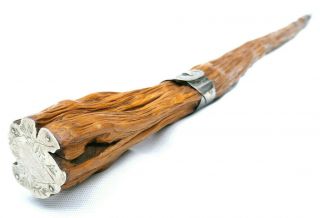 An Unusual Antique 19thc Solid Silver Mounted Olivewood Root Walking Stick