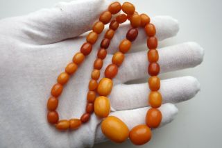Antique Natural Butterscotch Egg Yolk Baltic Amber Necklace Beads