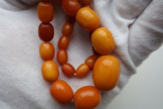 Antique Natural Butterscotch Egg Yolk Baltic Amber Necklace Beads 2
