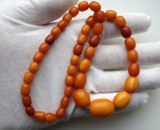 Antique Natural Butterscotch Egg Yolk Baltic Amber Necklace Beads 3