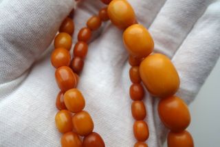 Antique Natural Butterscotch Egg Yolk Baltic Amber Necklace Beads 4