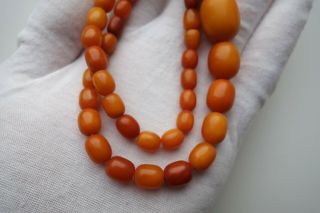 Antique Natural Butterscotch Egg Yolk Baltic Amber Necklace Beads 5