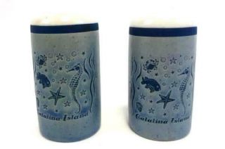 Vintage Catalina Island Salt & Pepper Shakers Blue & White Sea Pattern